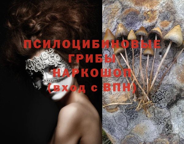 ешки Краснотурьинск