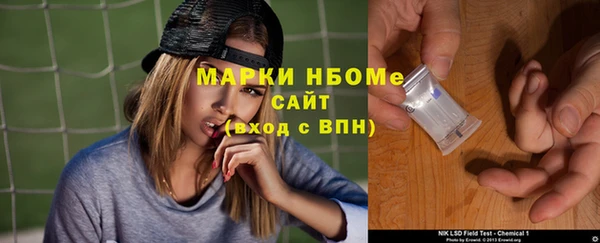 тгк Лагань