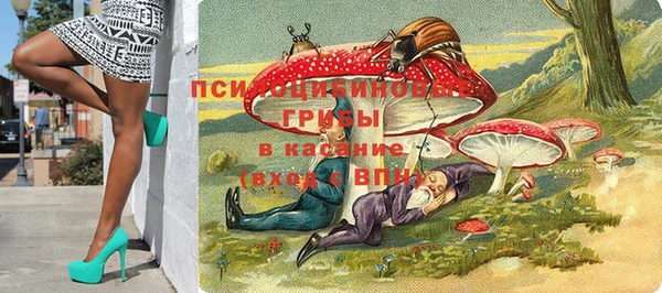 гидропоника Кукмор