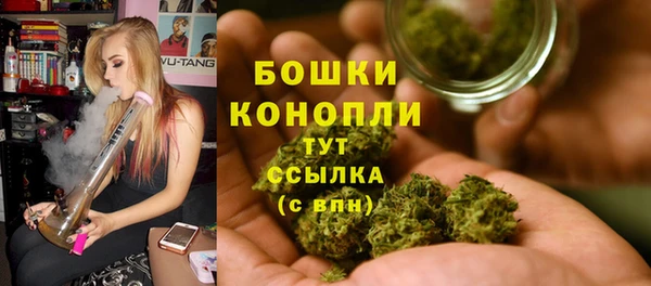 тгк Лагань